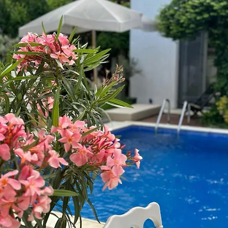 Casa de hóspedes Elia (adults Only) *