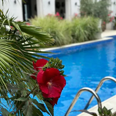 Elia (adults Only) Casa de hóspedes