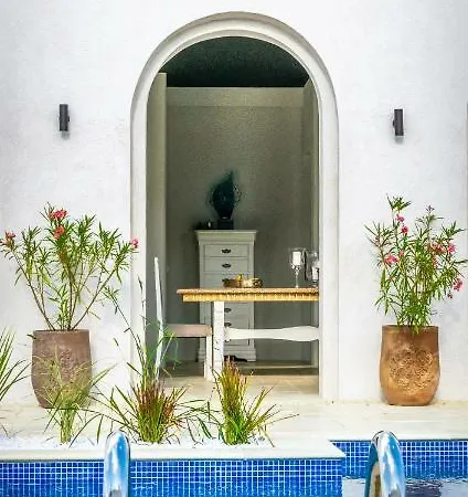 Elia (adults Only) *